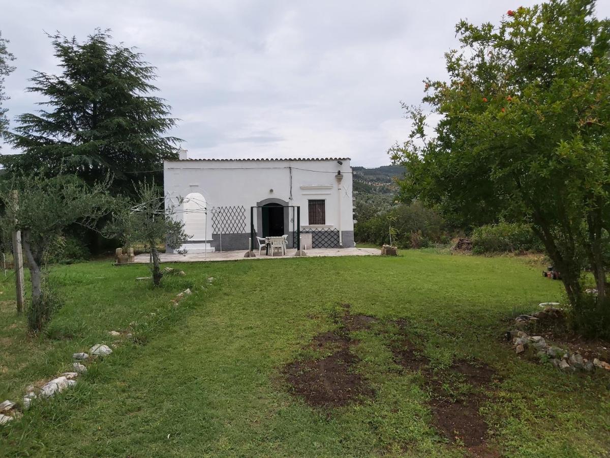 Casa Colonica Di Campagna Come Era Una Volta Peschici Exterior photo