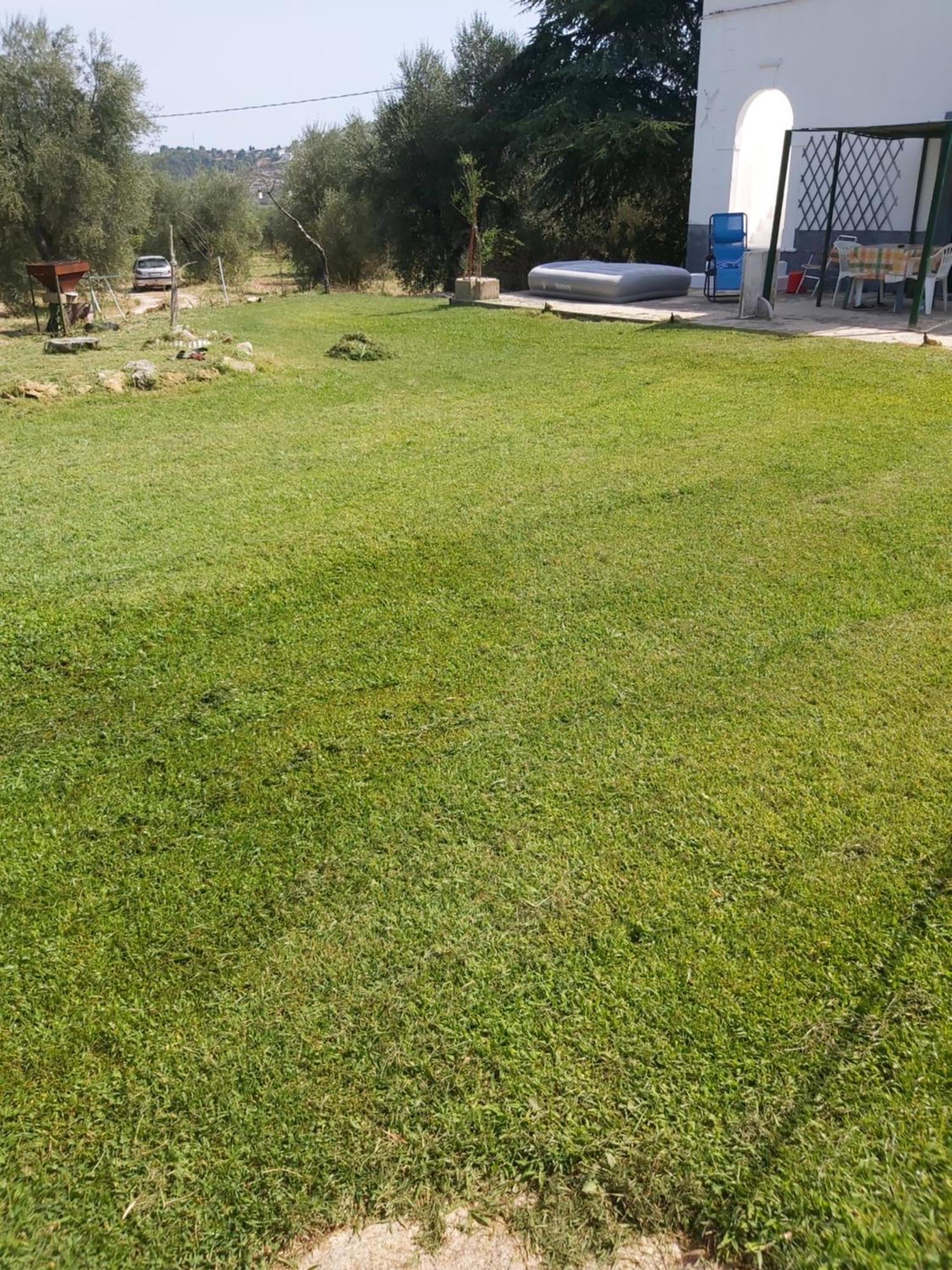 Casa Colonica Di Campagna Come Era Una Volta Peschici Room photo